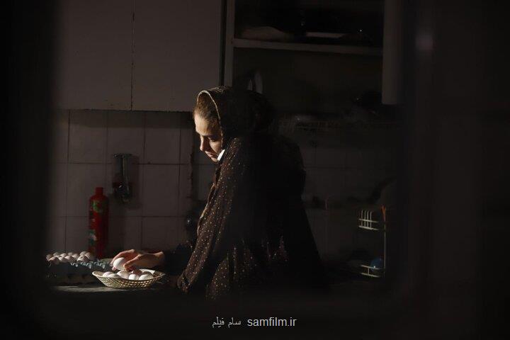 حضور شلته در چند جشنواره خارجی