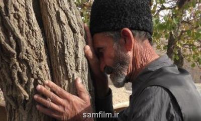 مستند روابط خانوادگی در جشنواره داك پوینت