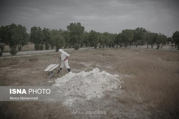 رشد صعودی مرگ و كرونا در بوشهر