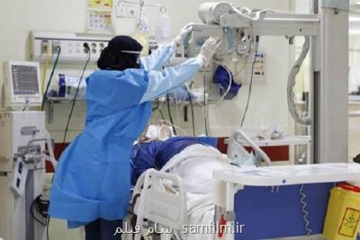 ۶ هزار عضو قابل پیوند در مقابل مرگ ۷ تا ۱۰ نفر در روز